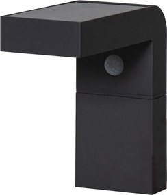 EGLO 900245 BARACCONI Fali Lámpa Mozgásérzékelővel Fekete, Átlátszó LED IP44