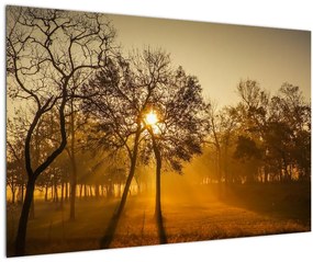 Kép - Napkelte (90x60 cm)