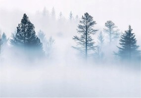 Fotótapéta Erdő A Ködben Fa Hálószoba Nappali Tapéta Flizelina 200x140