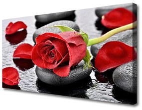 Vászonkép Red Rose Virág 100x50 cm