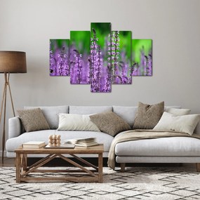 Lila mezei virágok képe (150x105 cm)