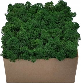 Moha Prémium Erdei Zöld Karton 300g