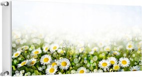 Mágneses Szőnyeg Radiátorhoz 120x60 Virágok Fotótapéta