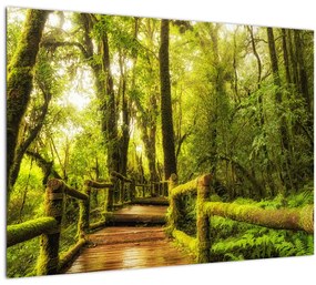 Mohás dzsungel képe (70x50 cm)
