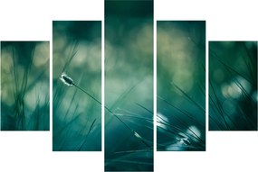 Kép - A fű részlete (150x105 cm)