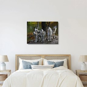 Üveg kép - Farkasok a sziklán (70x50 cm)