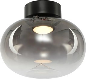 MILAGRO ML1409 VASO Vintage Mennyezeti Lámpák Fekete LED IP20