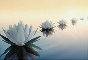 Fotótapéta Flizelin Hálószoba és Nappali tapéta Csendes kilátás 152x104