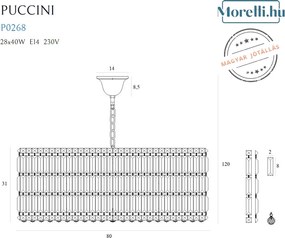 Függeszték Króm PUCCINI MAXLIGHT P0268