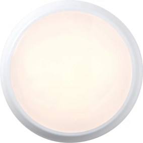 Endon HERO 95544 mennyezeti lámpa 18W 3000K|4000K|6000K IP65