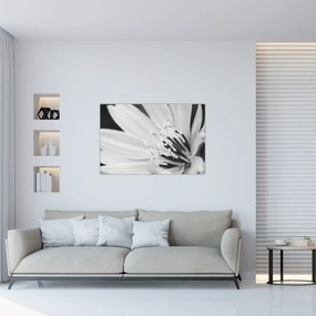 Kép - Fekete-fehér virág (90x60 cm)