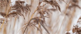 Kép - Lipnica (120x50 cm)