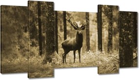 Képek 120x65 Szarvas a szépia erdőben