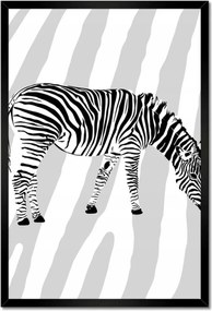 Poszterek keretben 40x60 Zebra csíkos