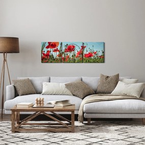 Kép - Pipacsos mező (órával) (90x30 cm)