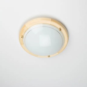 Rabalux 5411 - Mennyezeti lámpa UFO 1xE27/60W/230V