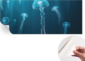 Öntapadós tapéta Falfestmény Prémium Tengeri elegancia 250x104 cm