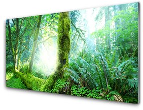 Modern üvegkép Forest Moss Természet 100x50 cm 2 fogas