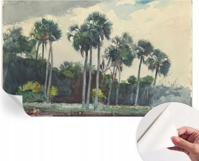 Fotótapéta Fali tapéta Hálószobába és Nappaliba Egzotikus pálmafák 416x254