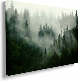 Modern prémium kép Erdő a ködben táj természet otthonra 40x30 cm