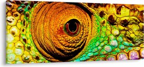 Kép - Kaméleon (120x50 cm)