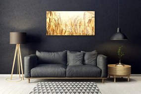 Fali üvegkép Kalászokat mező természetét 125x50 cm