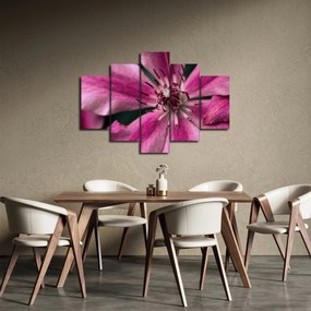 Rózsaszín flamingóvirág képe (150x105 cm)