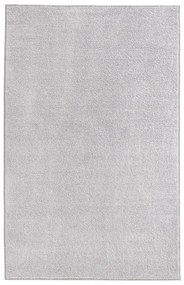 Pure világosszürke szőnyeg, 160 x 240 cm - Hanse Home