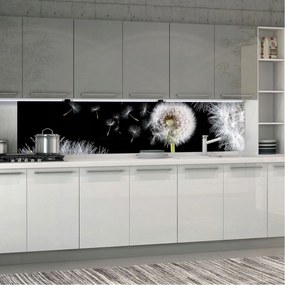 Fotótapéta Pitypang Magok szél és álmok fekete alapon 250x60 +ragasztó