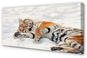 Canvas képek Tiger tél 100x50 cm