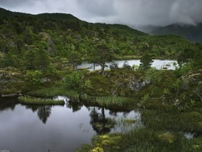 Poszter 40x30cm Norvég fjord 5, Assaf Frank