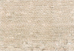 Flizelin fotótapéta Rusztikus tégla Loft semleges háttér 200x140 +ragasztó