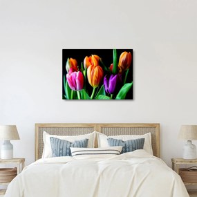 Tulipánok képe fekete alapon (70x50 cm)