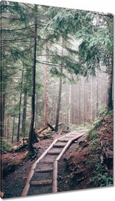 Vászonkép 80x120 Erdei ösvény