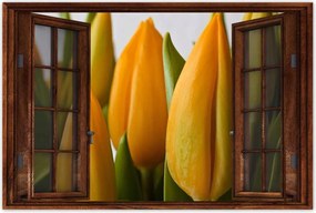 Poszterek 90x60 Sárga tulipánok