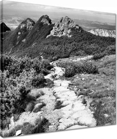 Vászonkép 40x40 Tátra Lengyel hegyek Kilátás