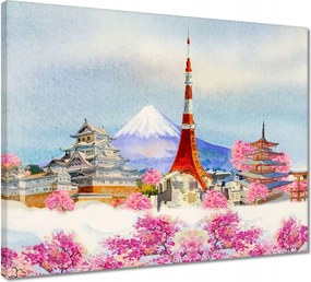 Vászonkép 50x40 Kirándulás Japánba
