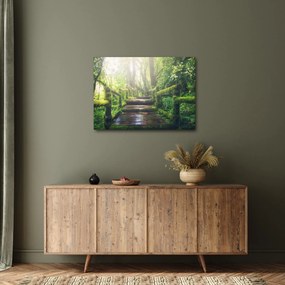 Kép - falépcsők az erdőben (70x50 cm)