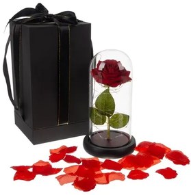 Világító örökrózsa luxuscsomagolásban