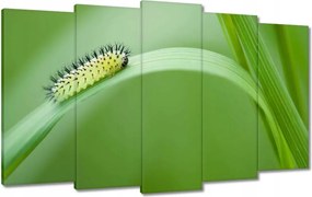 Vászonkép 100x60 Zöld hernyó
