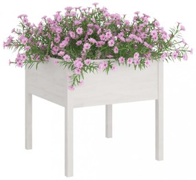2 db fehér tömör fenyőfa kerti virágtartó 70 x 70 x 70 cm