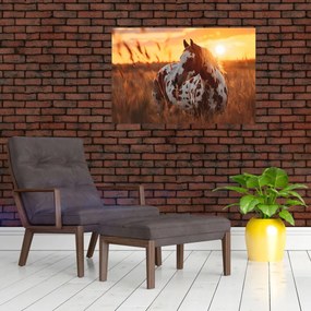 Kép - Ló naplementében (90x60 cm)