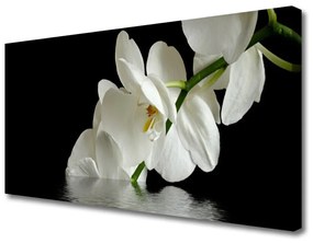 Canvas kép Orchidea virágok vízben 125x50 cm