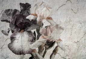 Flizelin fotótapéta Írisz textúra elegancia a nappaliba 416x290 +ragasztó