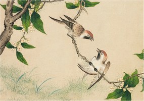 Flizelina Dekoratív Fotótapéta Hálószobába Klasszikus duó 208x146 Ragasztó