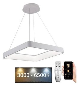 NEDES LED Dimmelhető csillár zsinóron LED/55W/230V 3000-6500K fehér + távirányítás ND4084