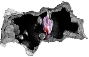 3d lyuk fal dekoráció Orchidea nd-b-60629892
