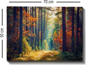 Kanvas vászonkép, 50×70 cm – TR529TCR1376