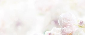 Kép a finom virágok (120x50 cm)