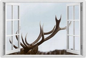 Poszterek 120x80 Szarvas felszarvazott